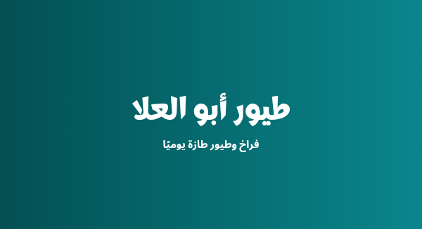 طيور أبو العلا