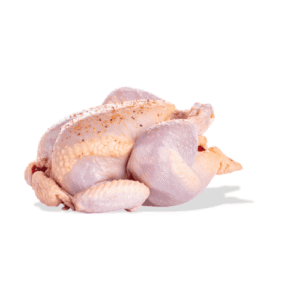 فراخ بلدي خير بلدنا