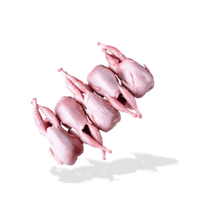 حمام جامبو خير بلدنا