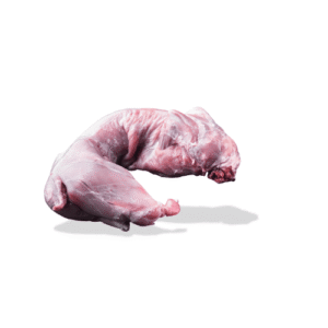 أرنب بلدي خير بلدنا