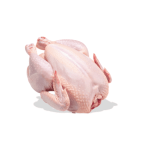 فراخ بلدي عتاقي خير بلدنا